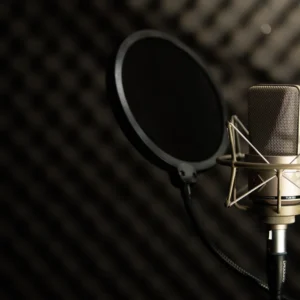 Audiobook Sample