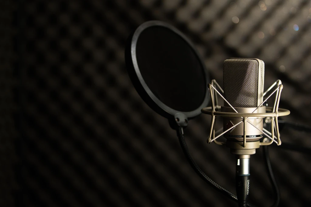 Audiobook Sample